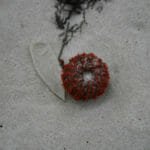 Picture of eryne