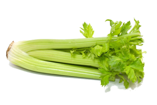 céleri