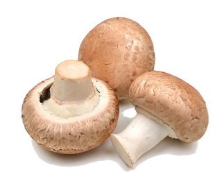 champignons de Paris