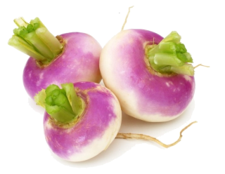 navet
