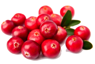 canneberges