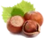 noisettes