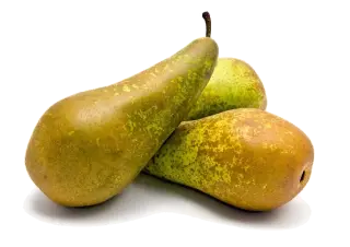 poire Conférence