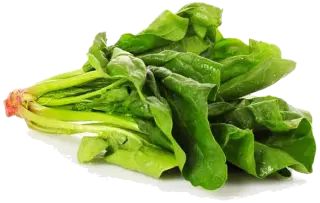 épinards